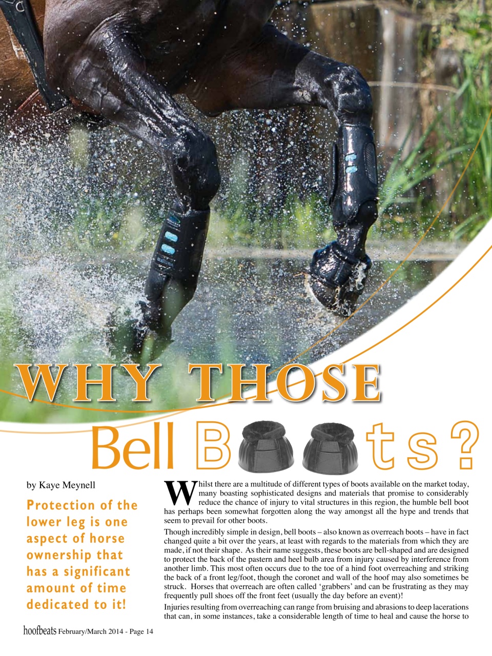 Hoofbeats Preview Pages