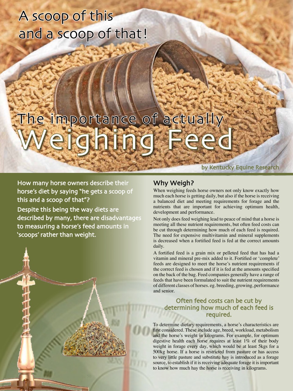 Hoofbeats Preview Pages