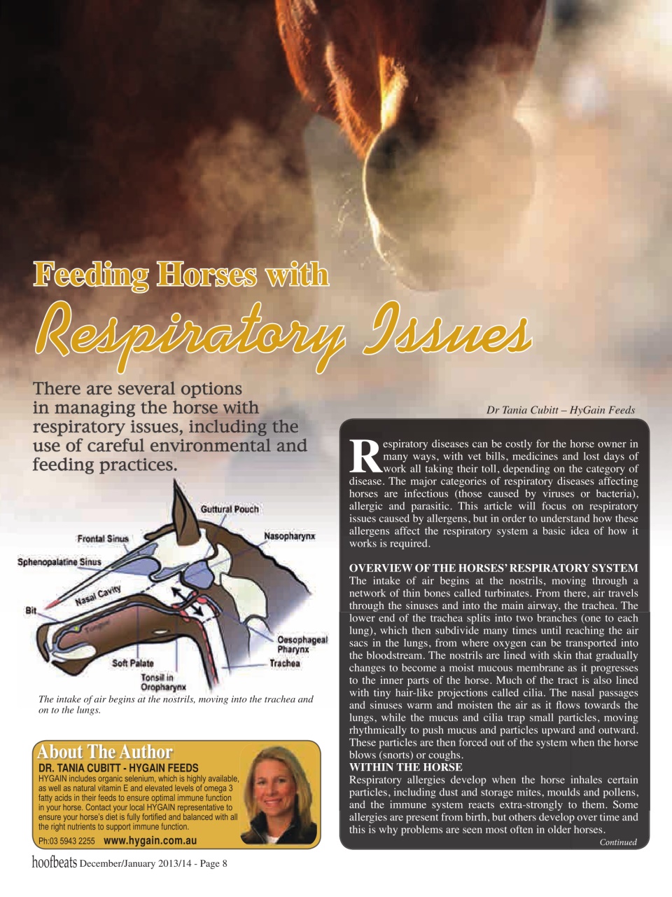 Hoofbeats Preview Pages