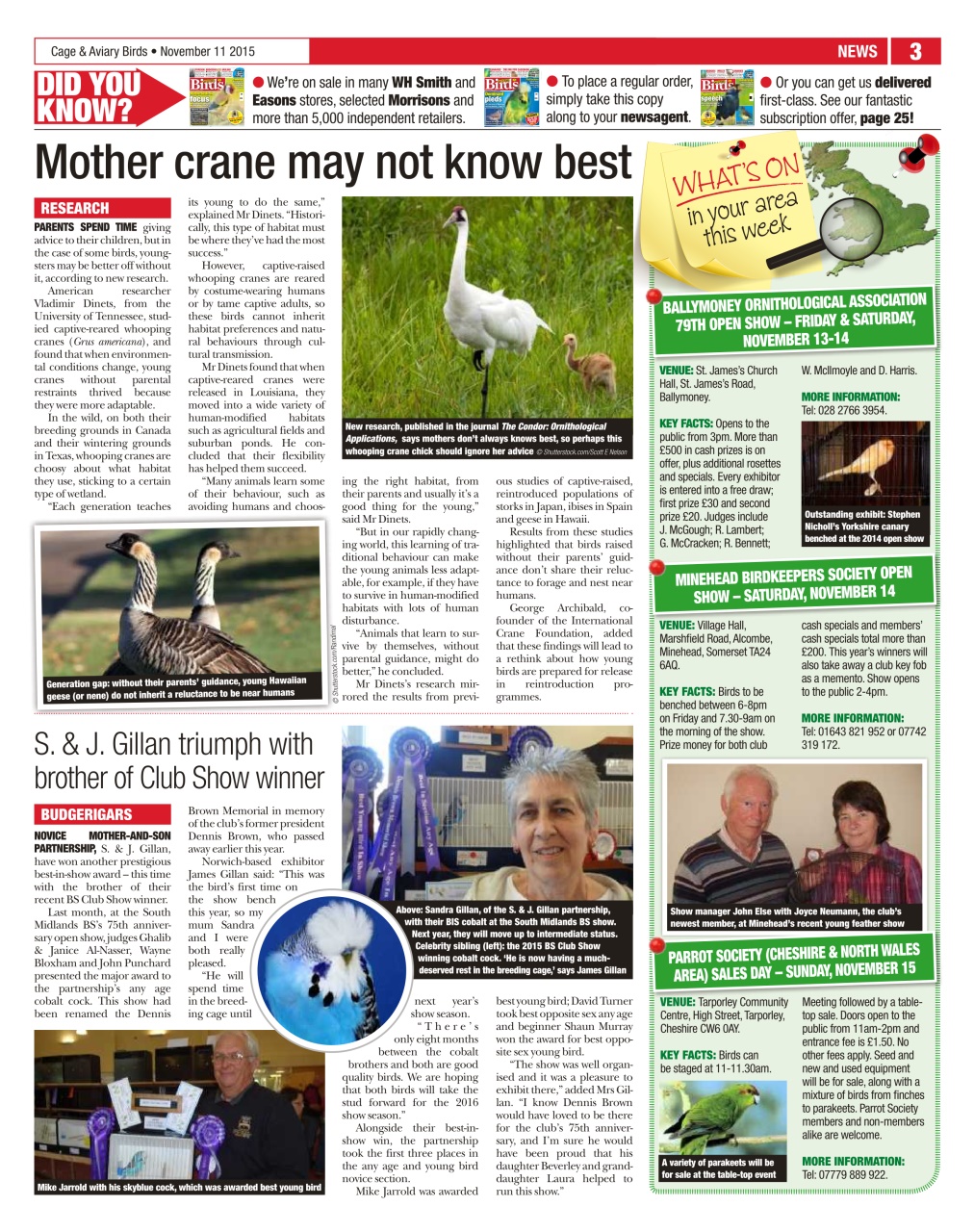 Cage & Aviary Birds Preview Pages