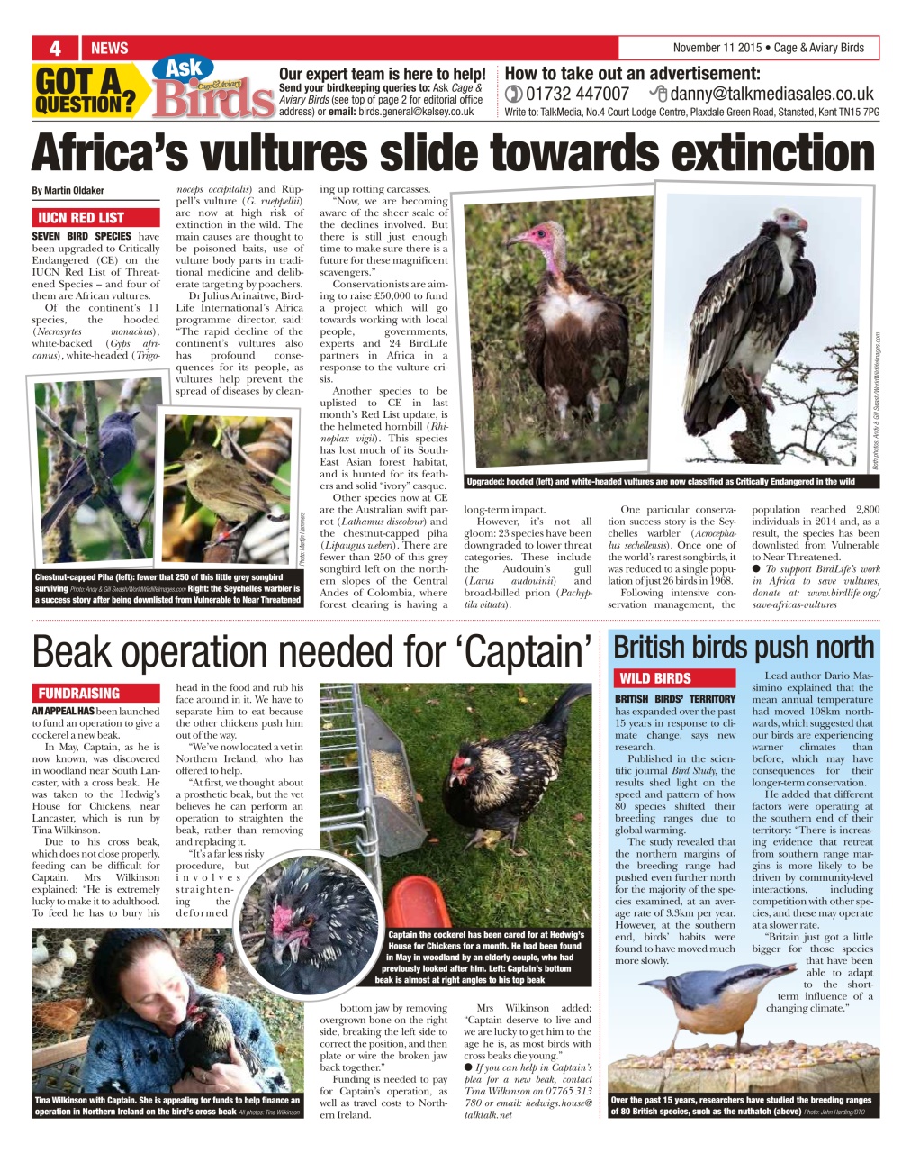Cage & Aviary Birds Preview Pages