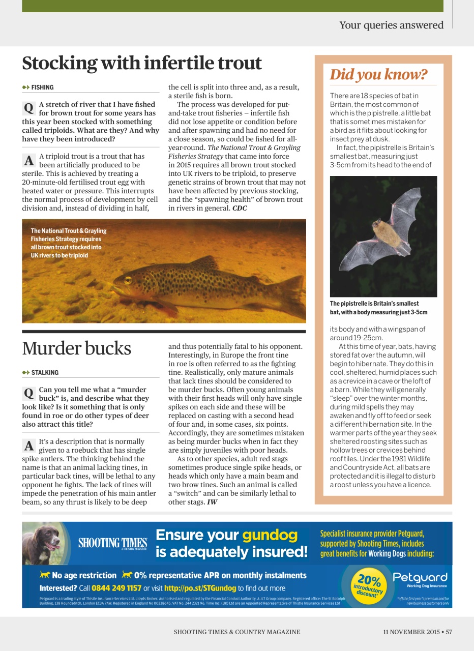 Shooting Times & Country Preview Pages