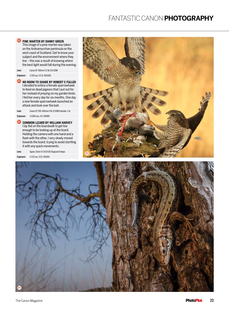 PhotoPlus Preview Pages