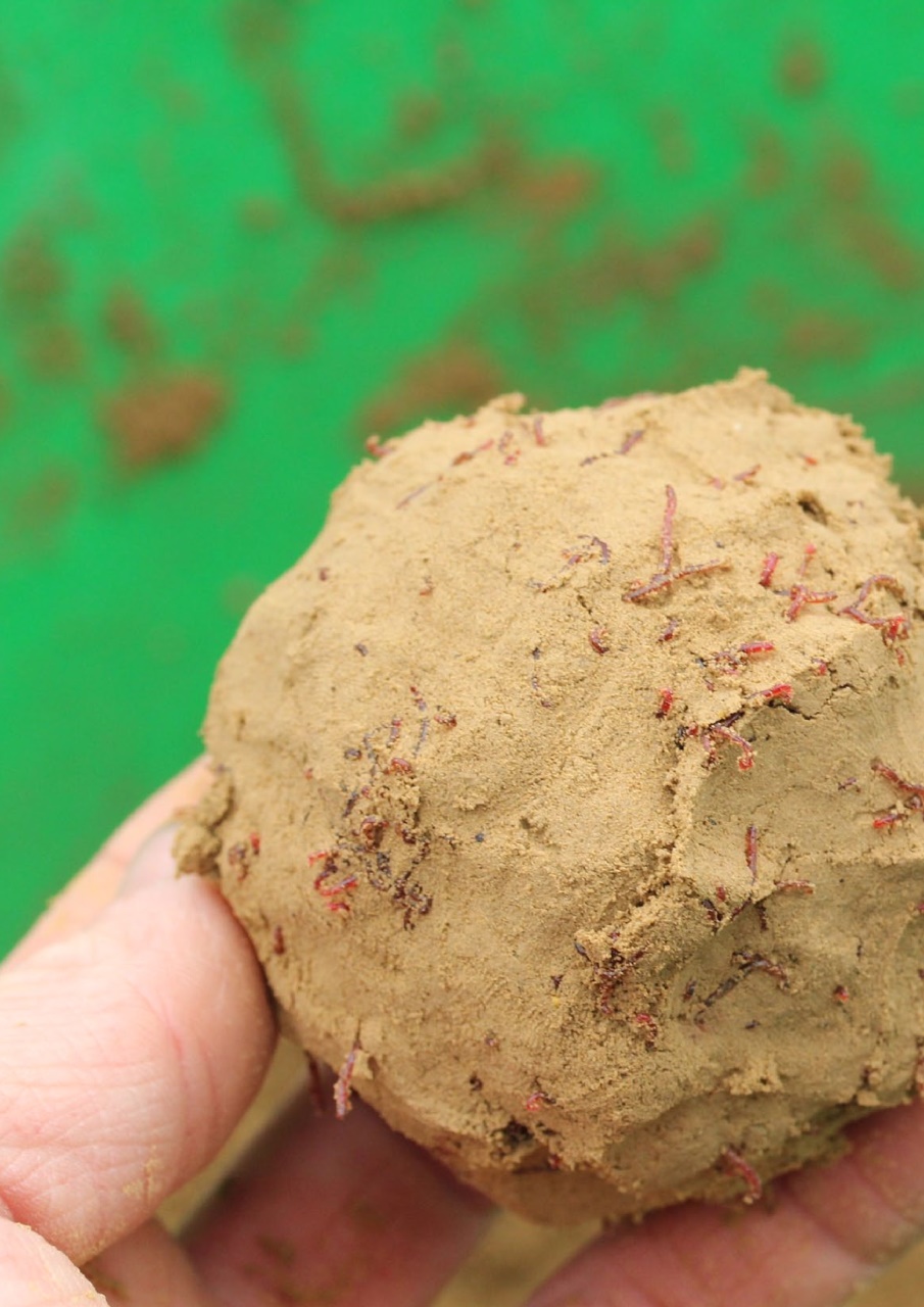 Pole Fishing Plus Preview Pages