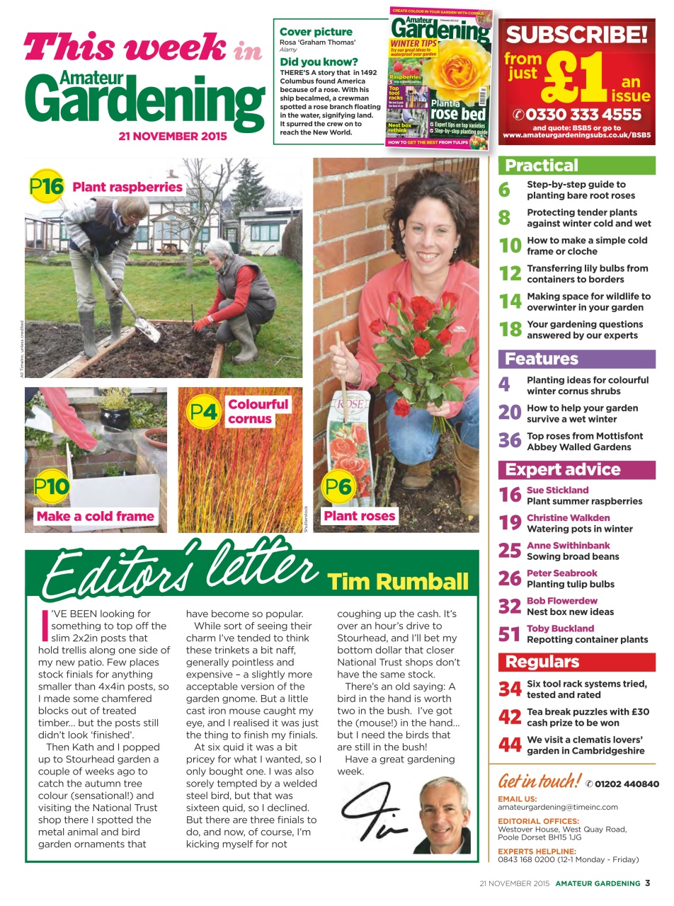 Amateur Gardening Preview Pages