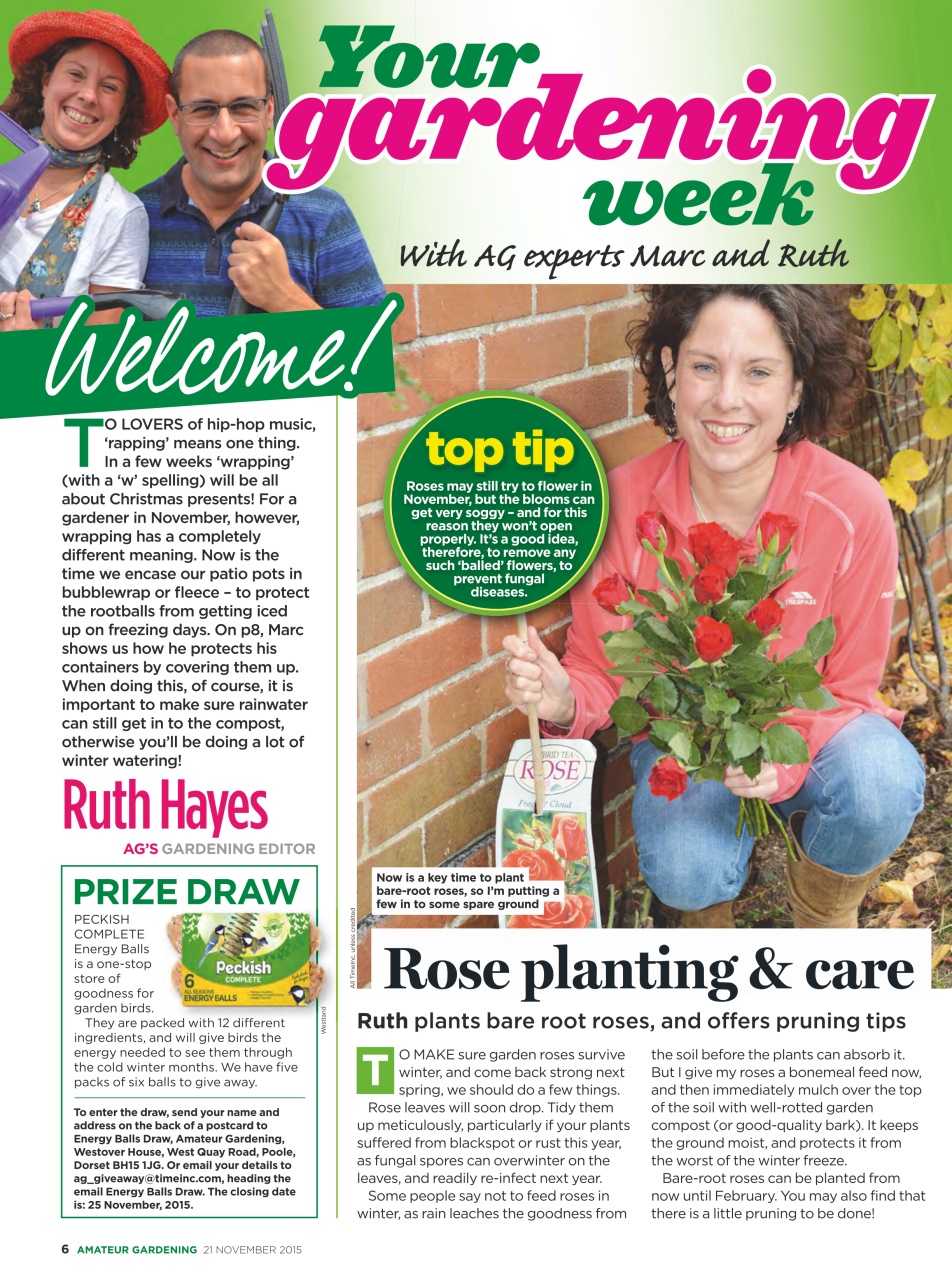 Amateur Gardening Preview Pages