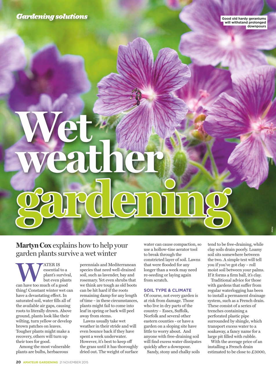 Amateur Gardening Preview Pages