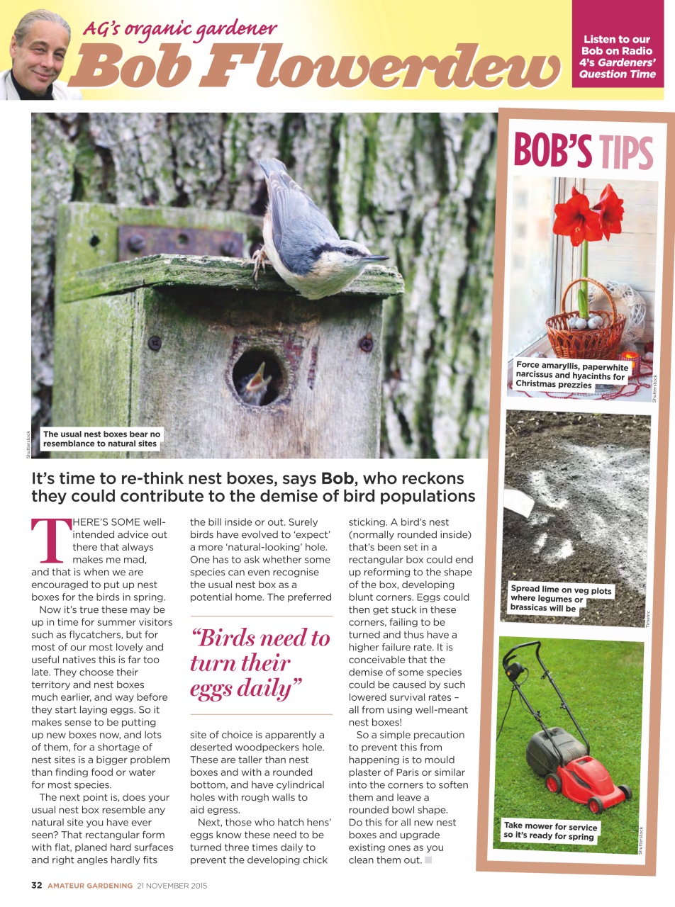 Amateur Gardening Preview Pages