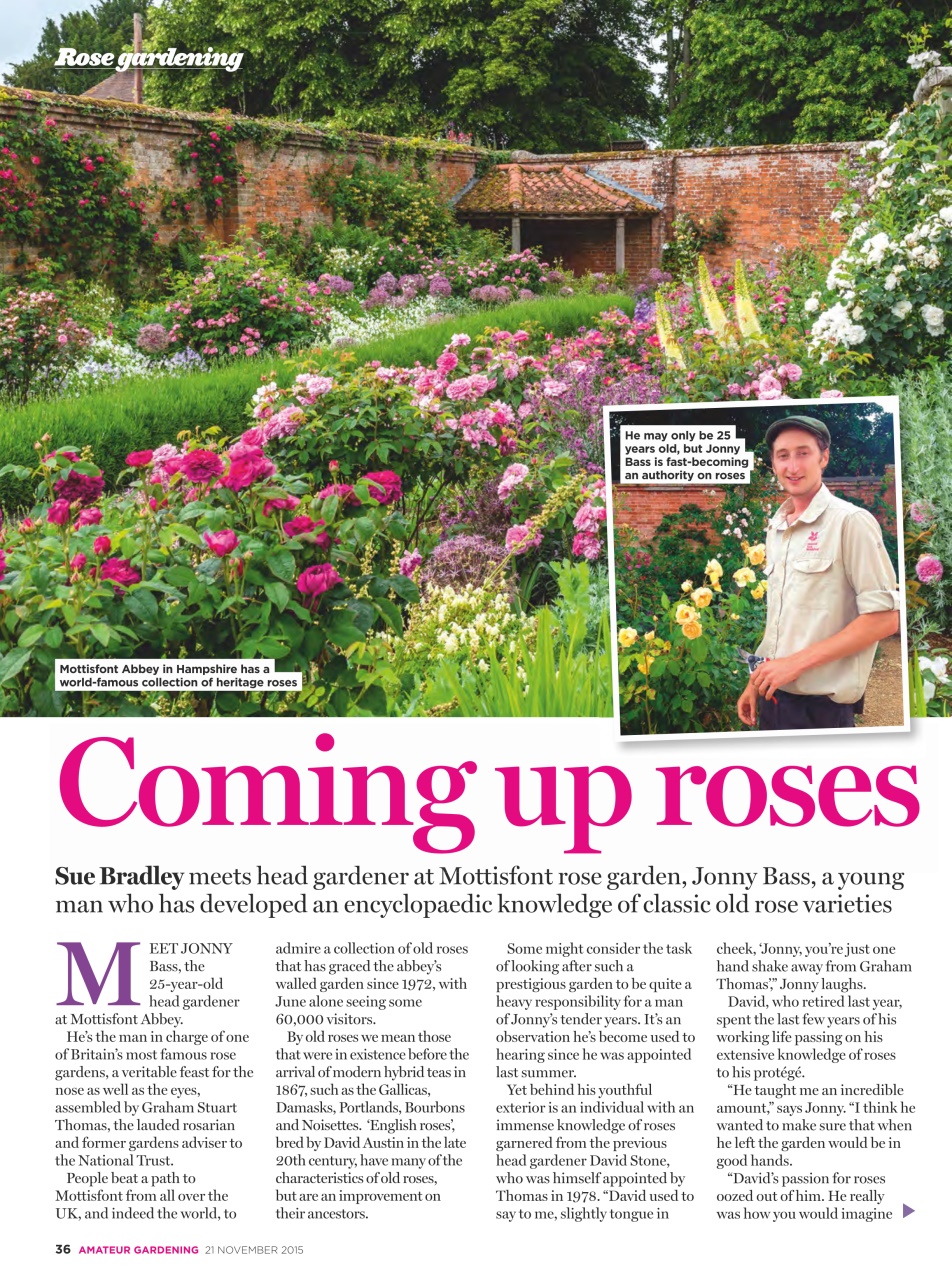 Amateur Gardening Preview Pages