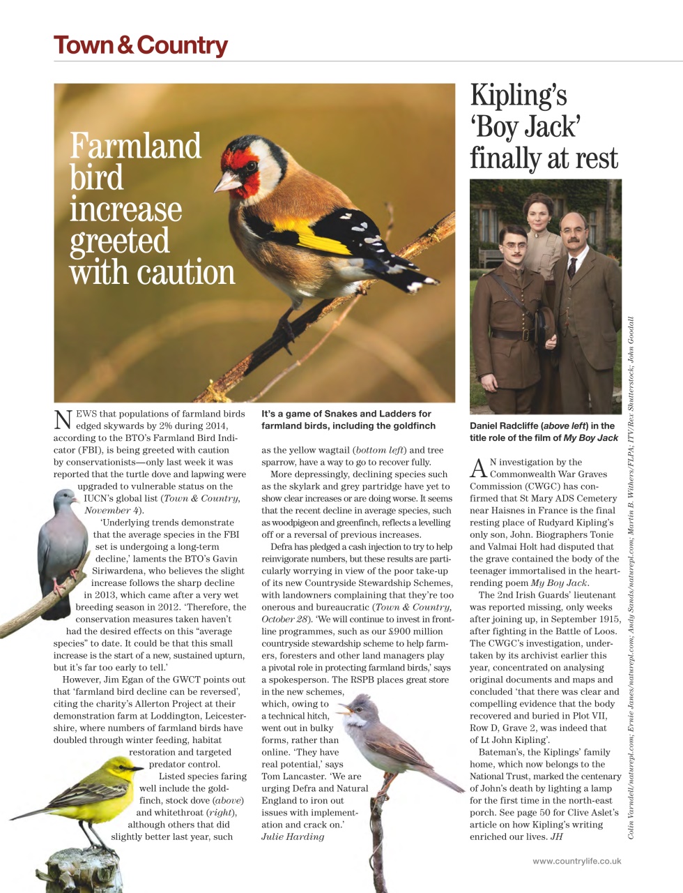 Country Life Preview Pages