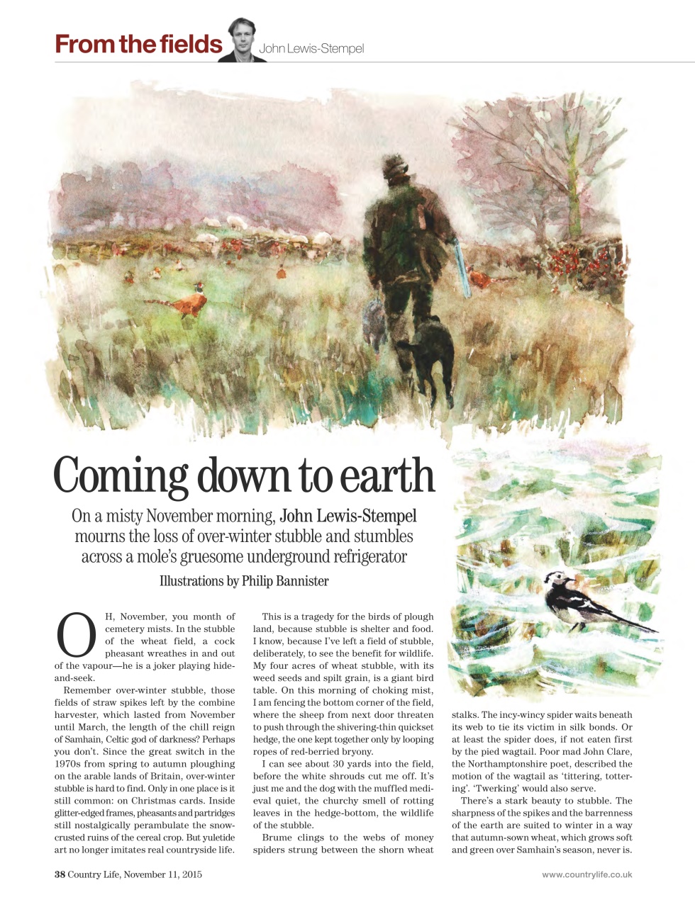 Country Life Preview Pages