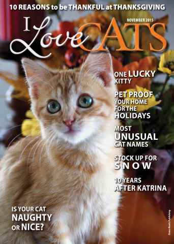 Fall 2015 issue Fall 2015