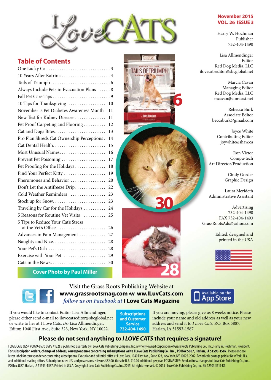 I Love Cats Preview Pages