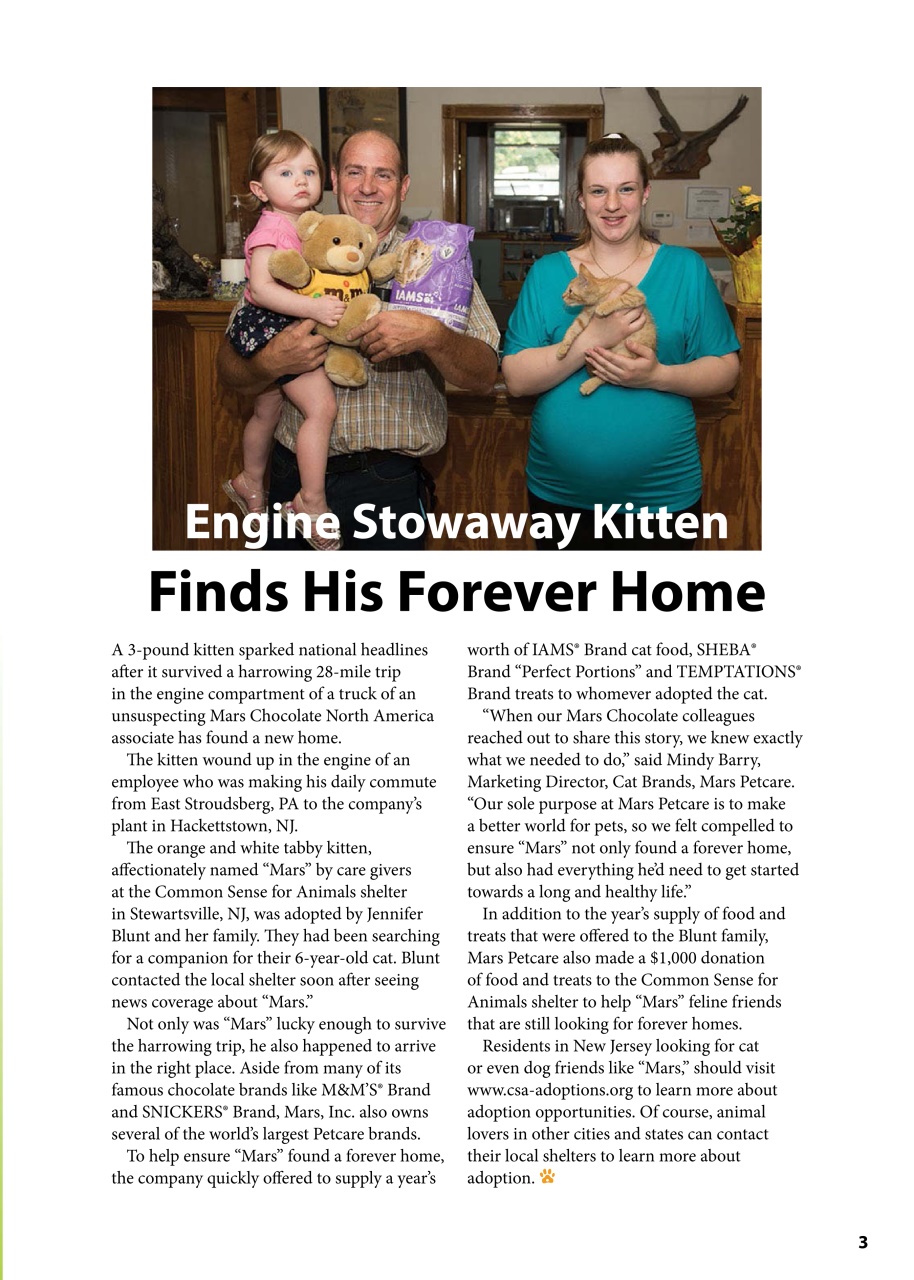 I Love Cats Preview Pages