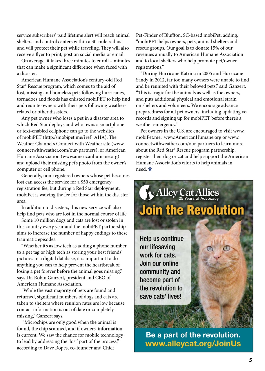 I Love Cats Preview Pages