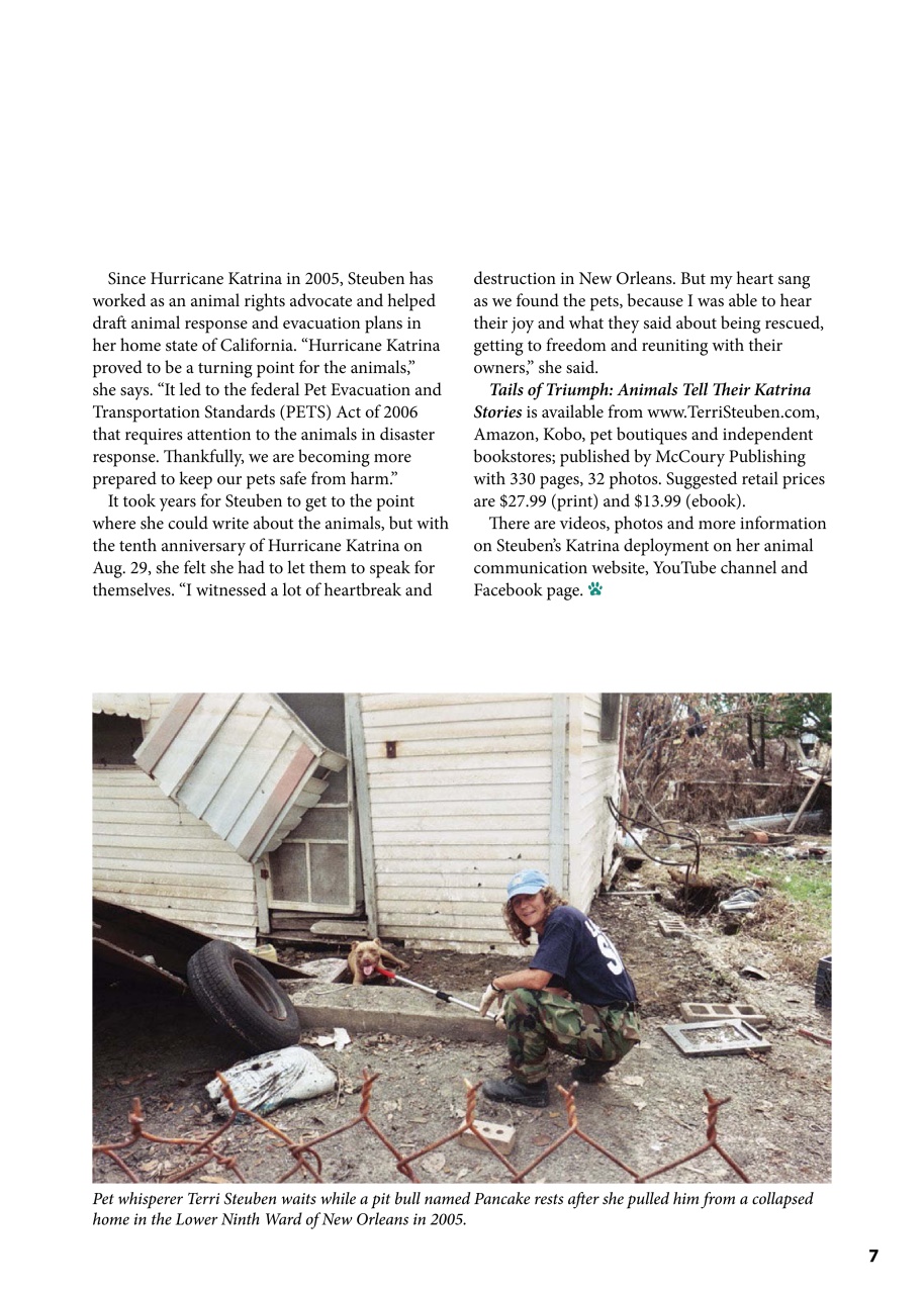 I Love Cats Preview Pages