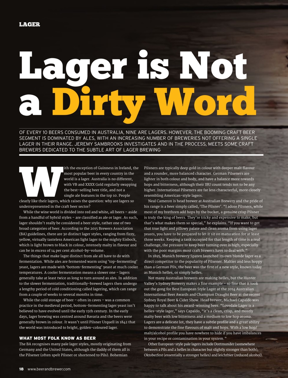 Beer and Brewer Preview Pages