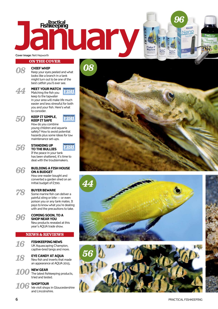 Practical Fishkeeping Preview Pages