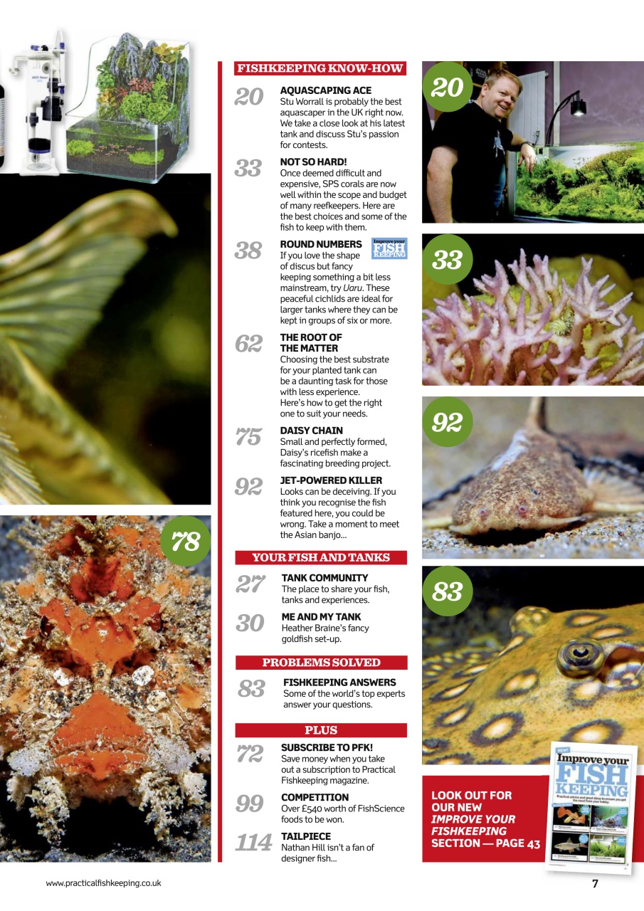 Practical Fishkeeping Preview Pages