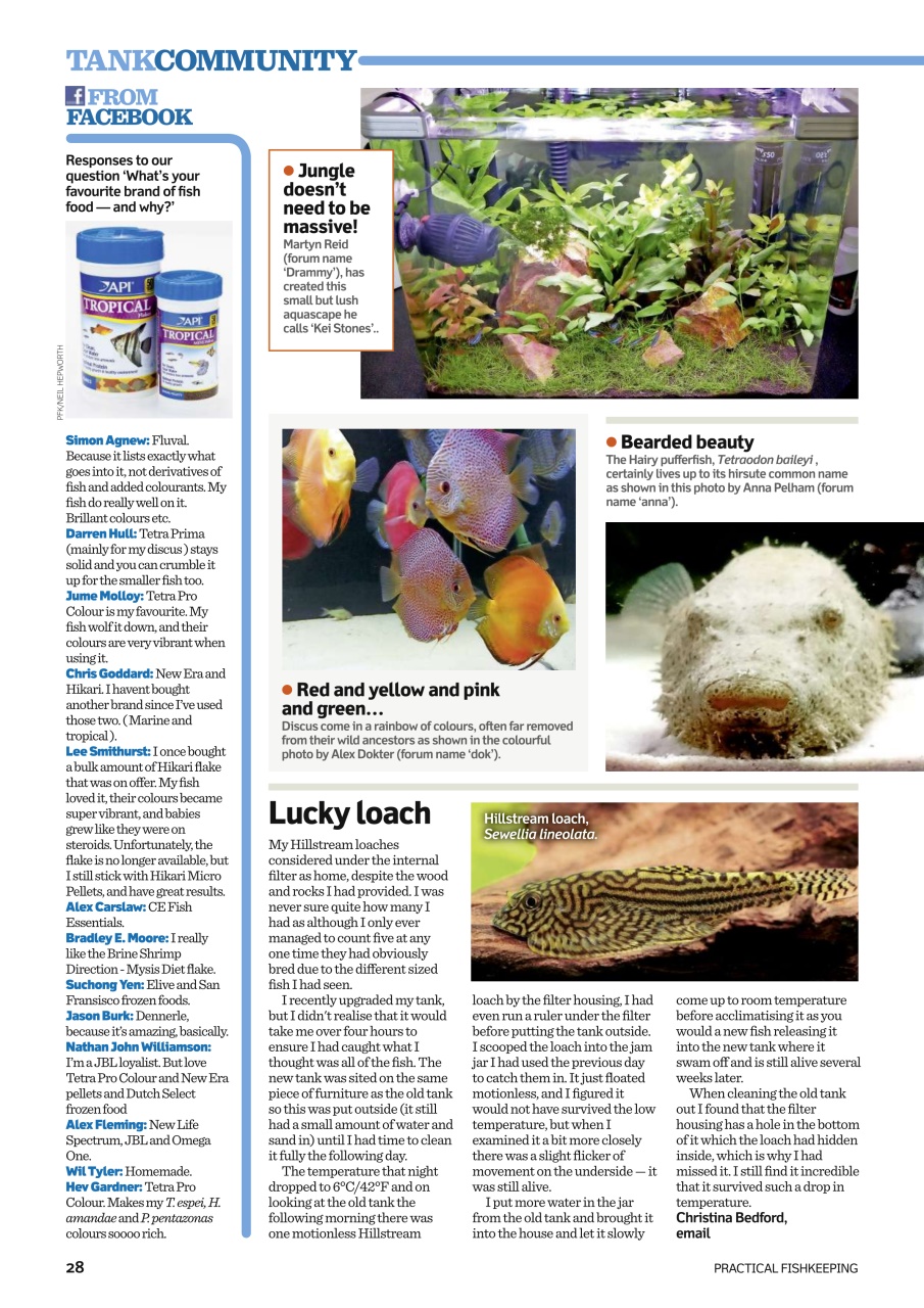 Practical Fishkeeping Preview Pages