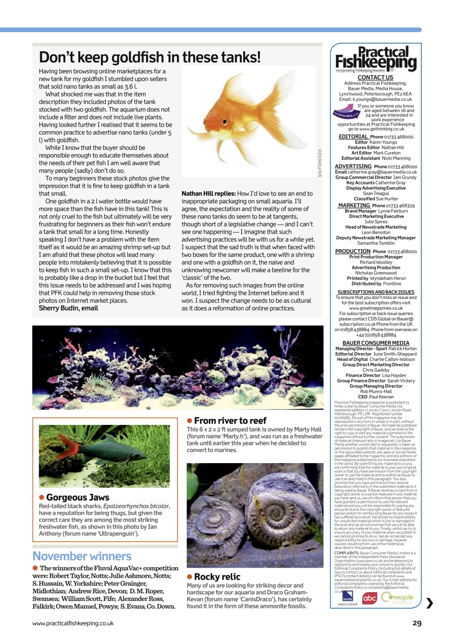 Practical Fishkeeping Preview Pages
