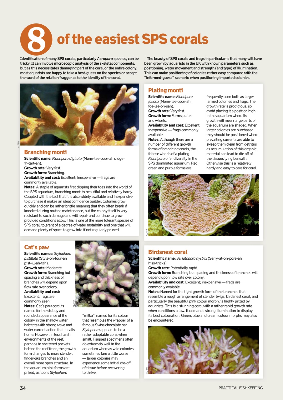 Practical Fishkeeping Preview Pages