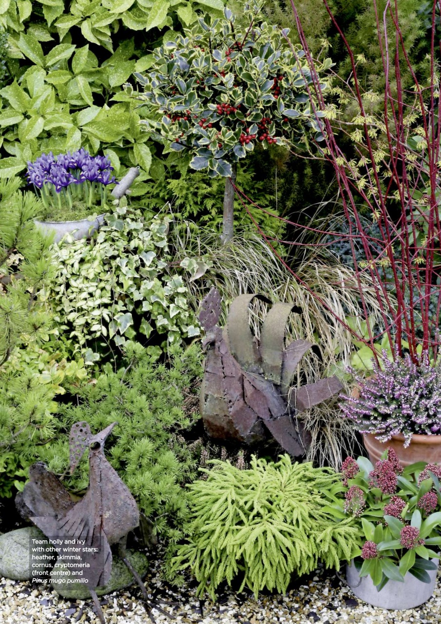 Garden Answers Preview Pages