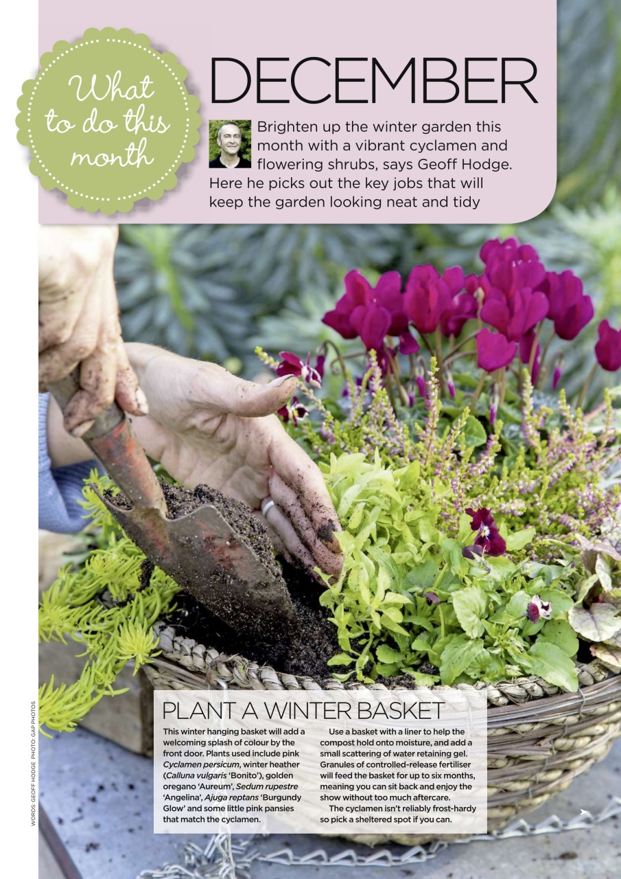 Garden Answers Preview Pages