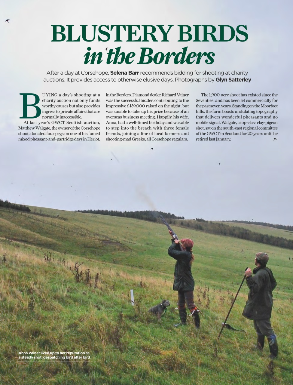 The Field Preview Pages