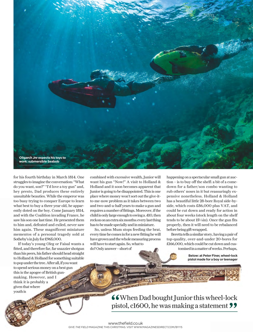 The Field Preview Pages