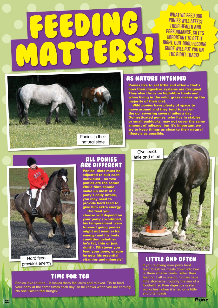 Pony Magazine Preview Pages