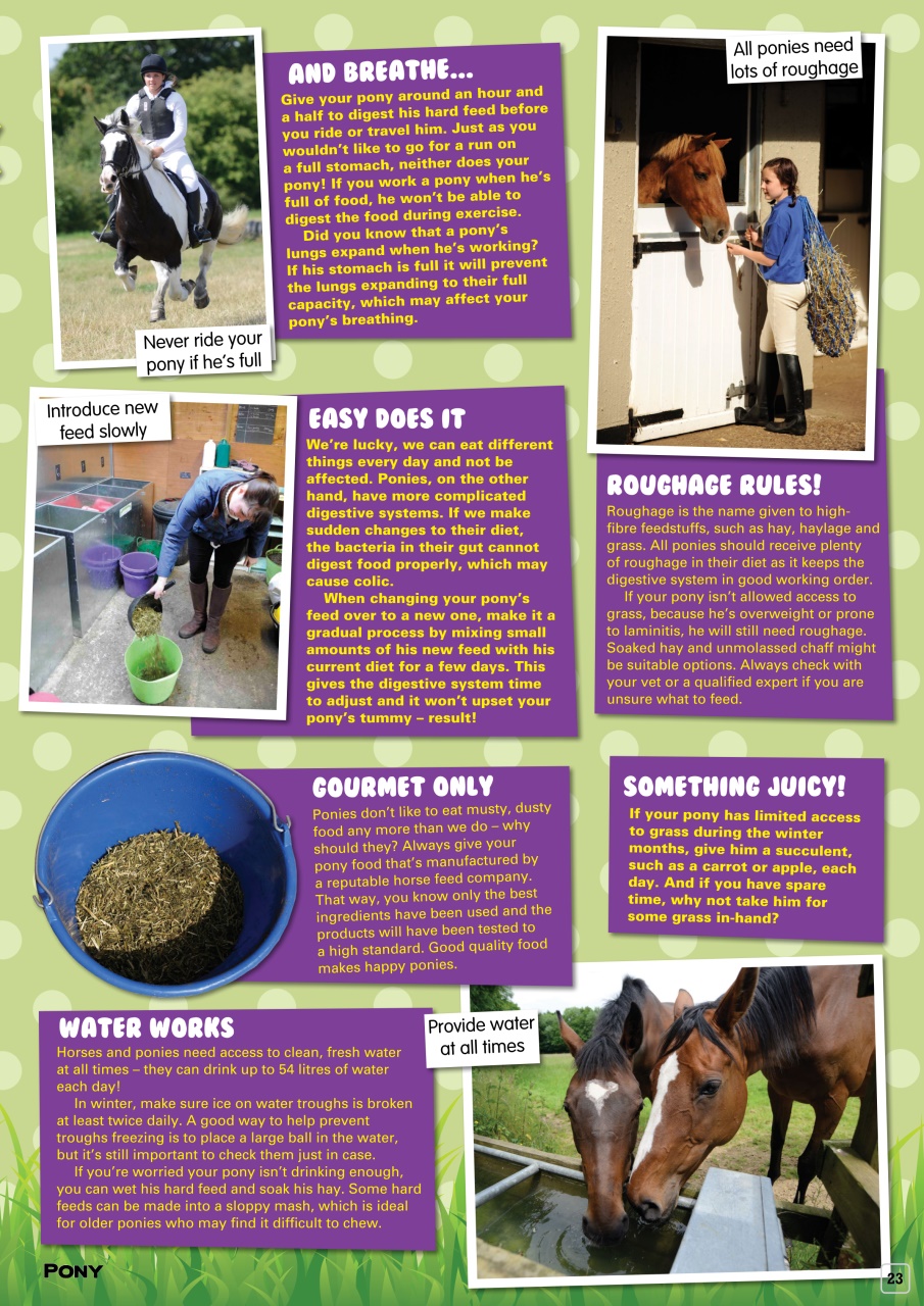 Pony Magazine Preview Pages