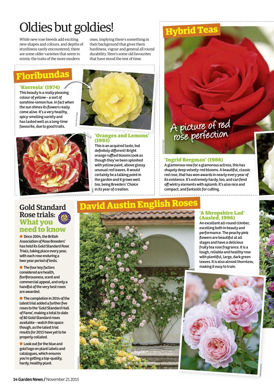 Garden News Preview Pages