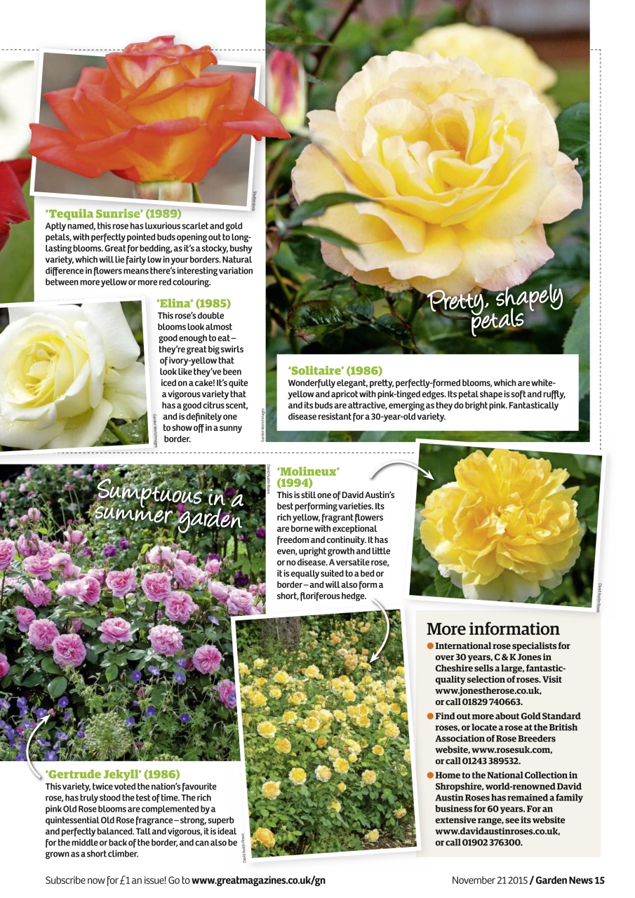 Garden News Preview Pages