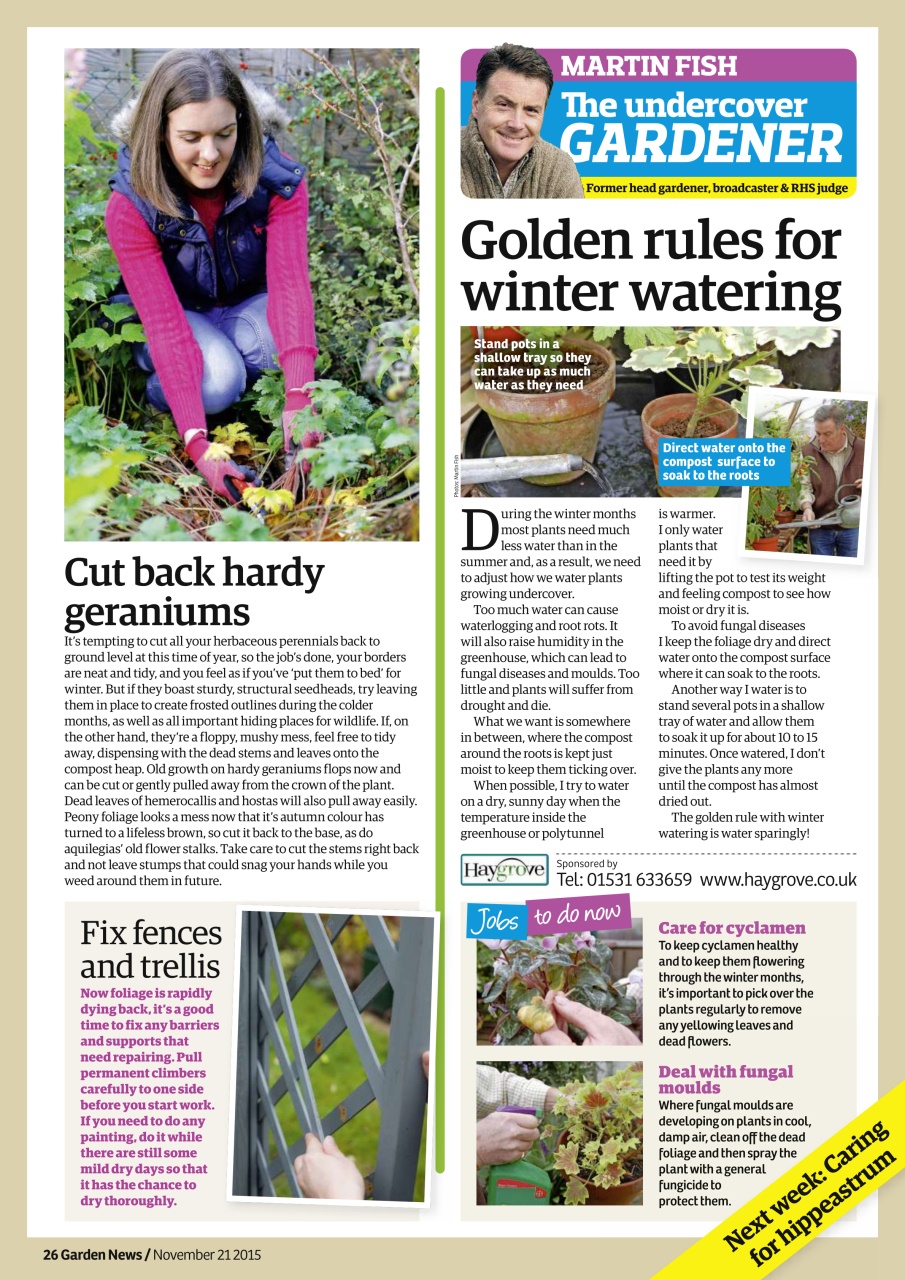 Garden News Preview Pages