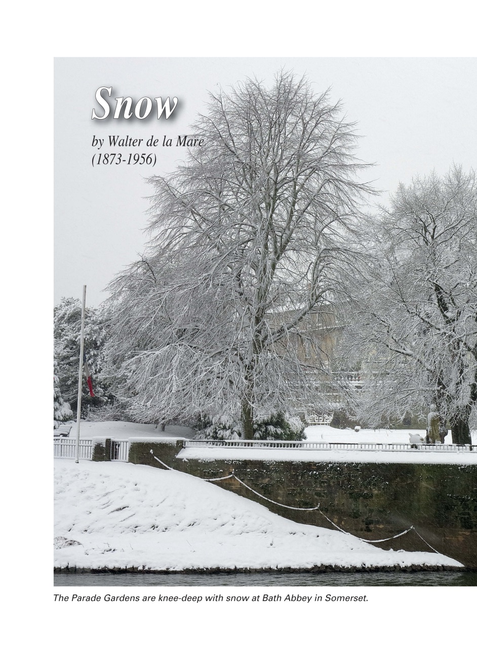 Evergreen Preview Pages