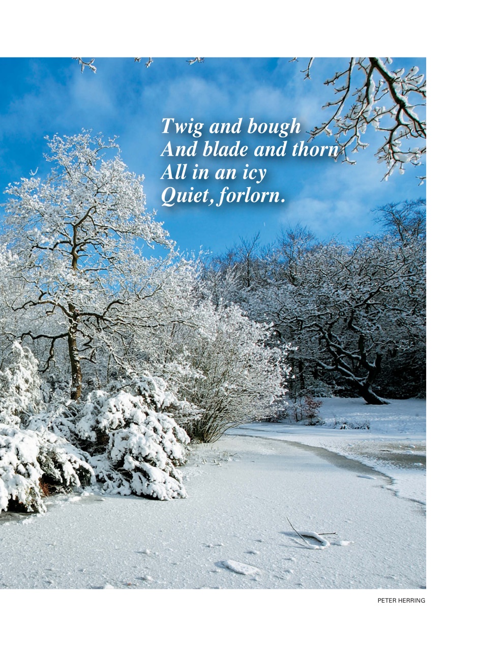 Evergreen Preview Pages