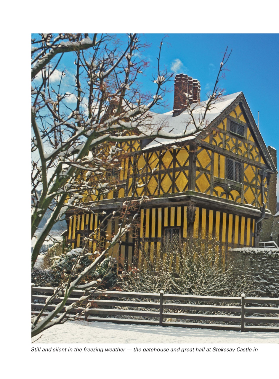 Evergreen Preview Pages