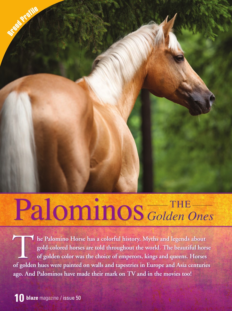 Blaze Magazine For Horse Crazy Kids Preview Pages