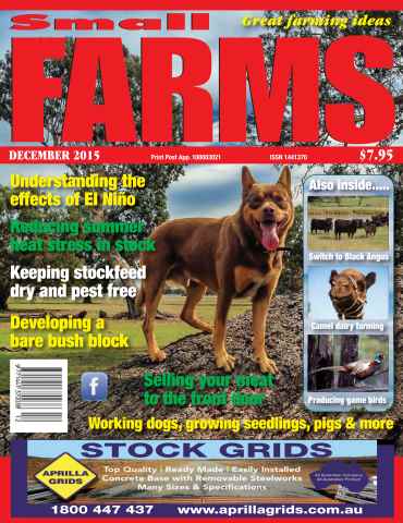 Small Farms issue December 2015