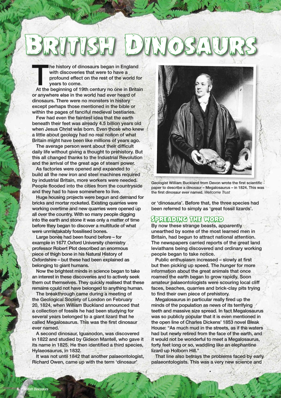 Mortons Books Preview Pages