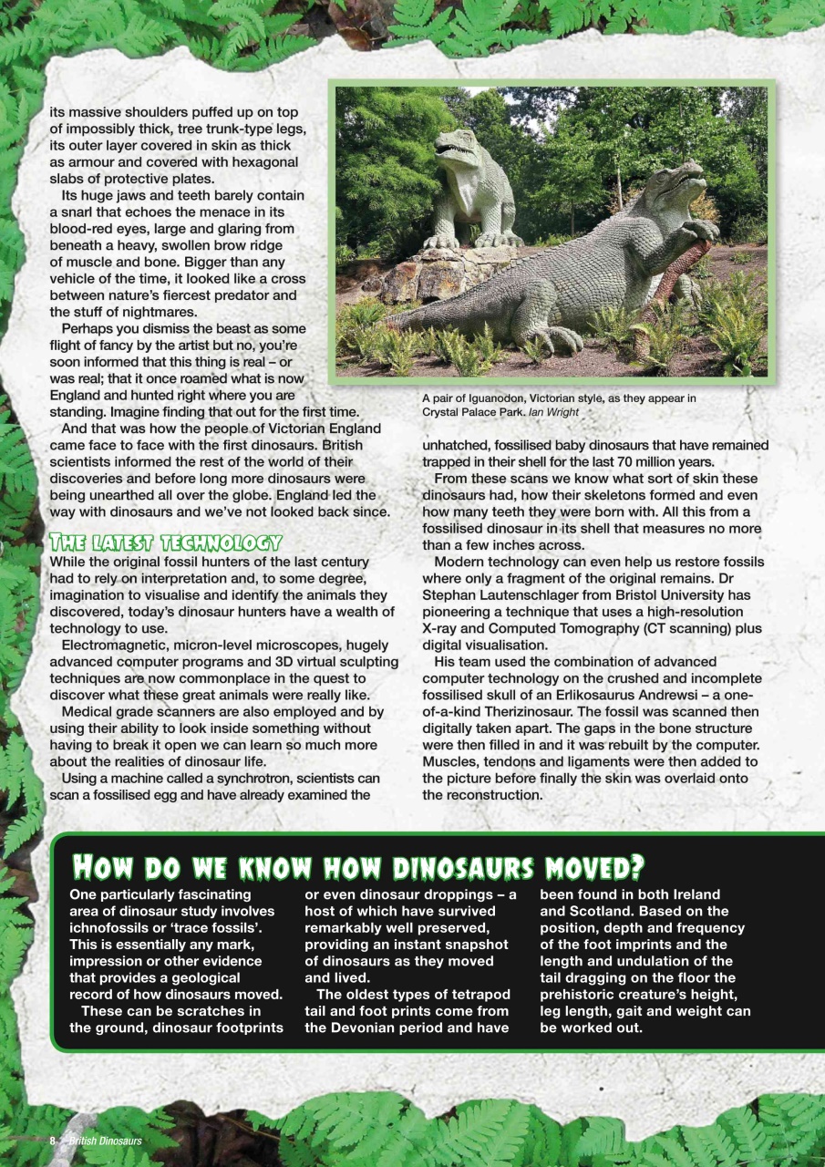 Mortons Books Preview Pages