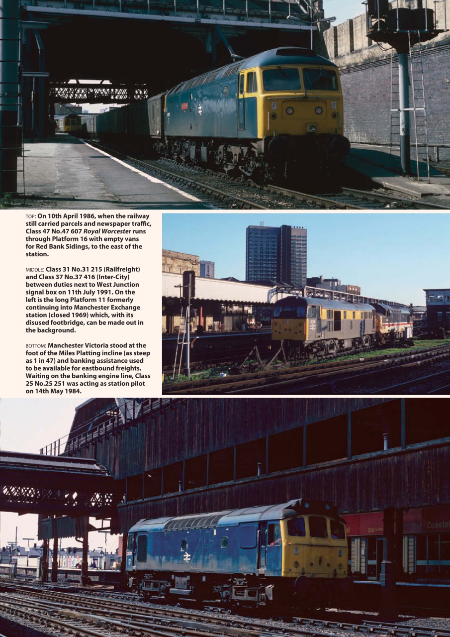 Backtrack Preview Pages