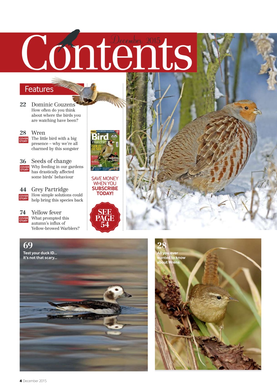 Bird Watching Preview Pages