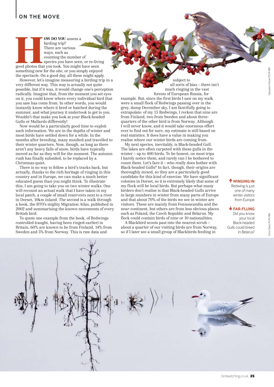 Bird Watching Preview Pages