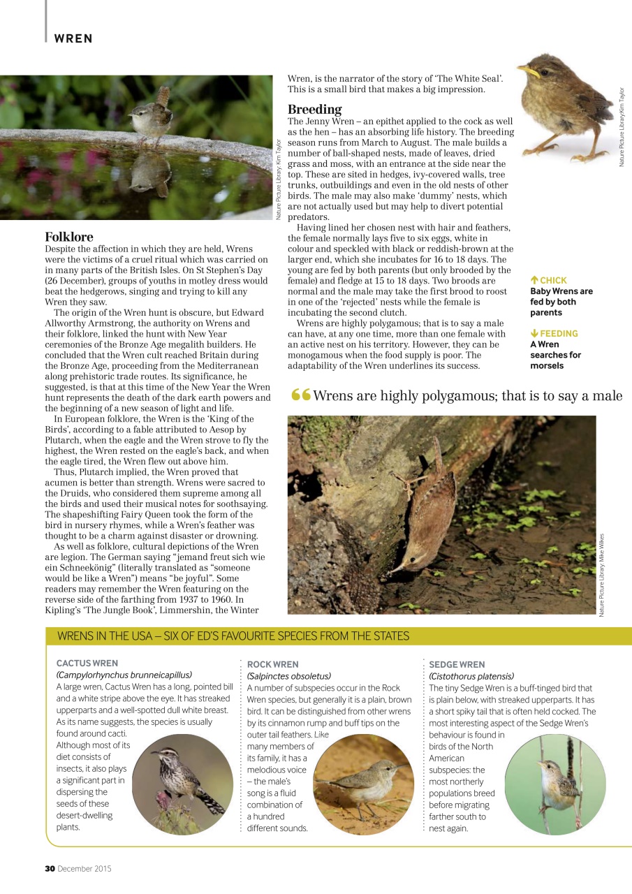 Bird Watching Preview Pages