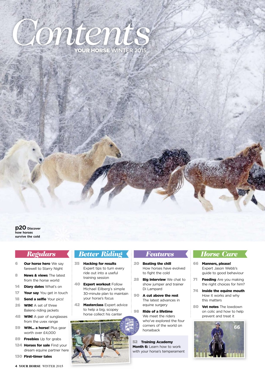 Your Horse Preview Pages