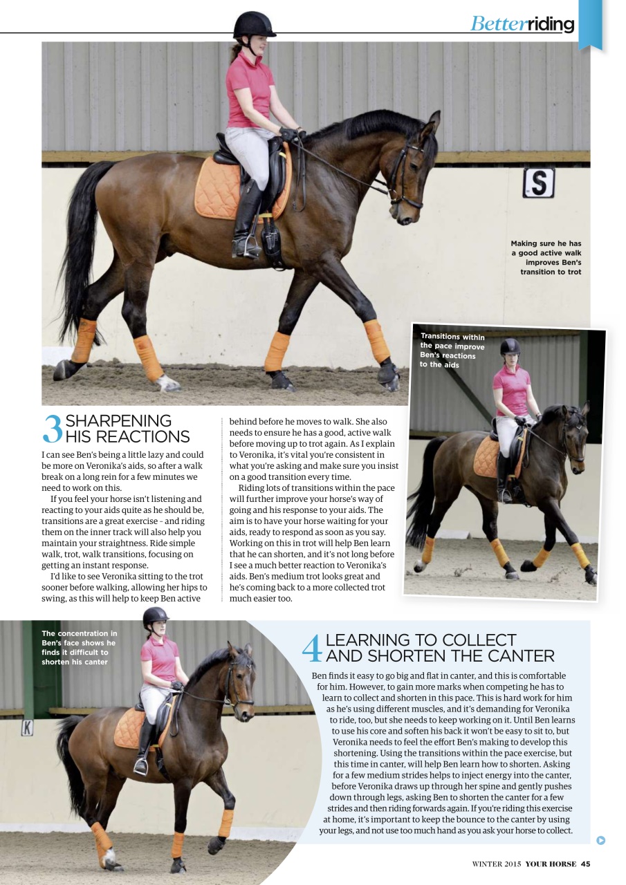 Your Horse Preview Pages