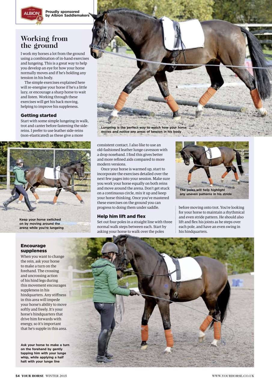 Your Horse Preview Pages