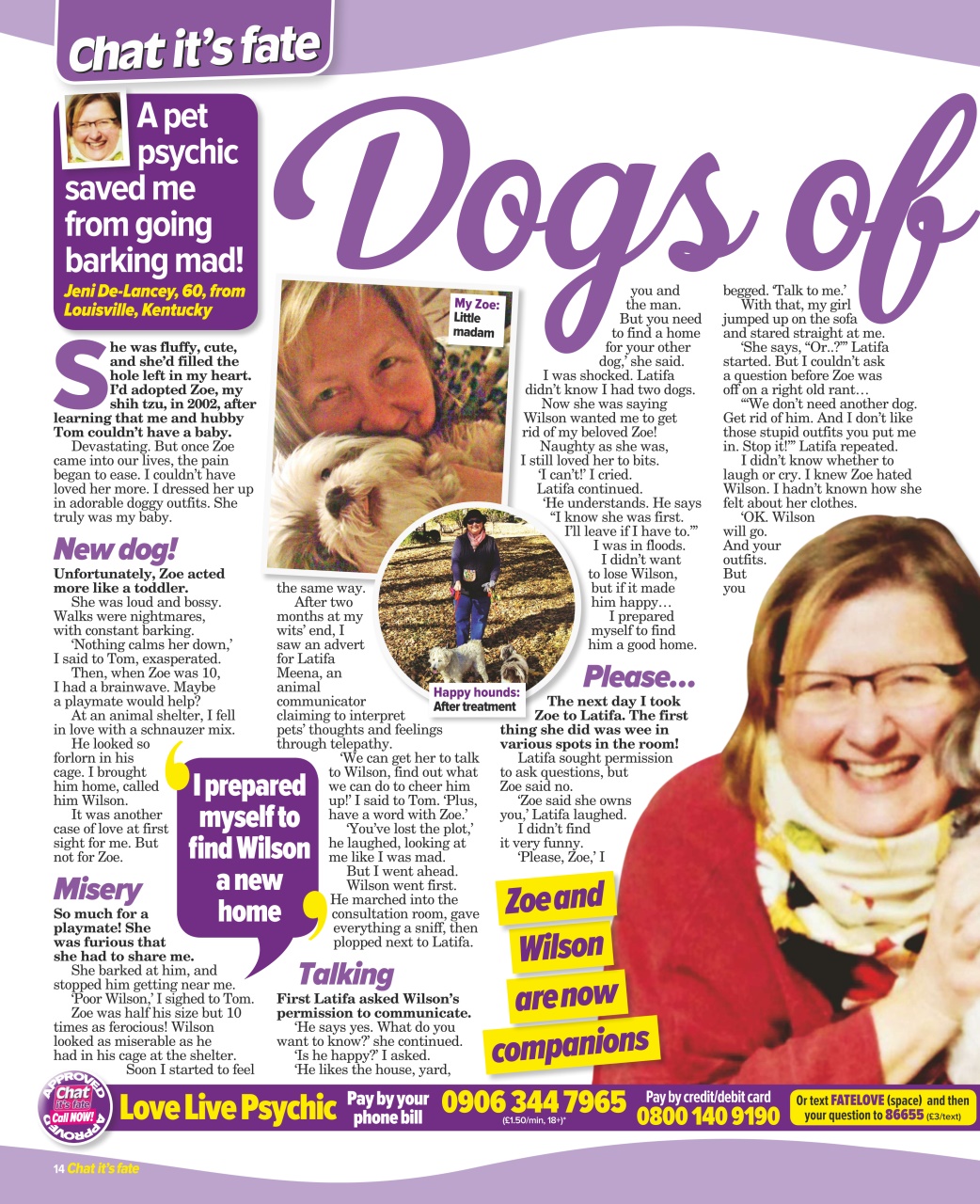 Chat Its Fate Preview Pages